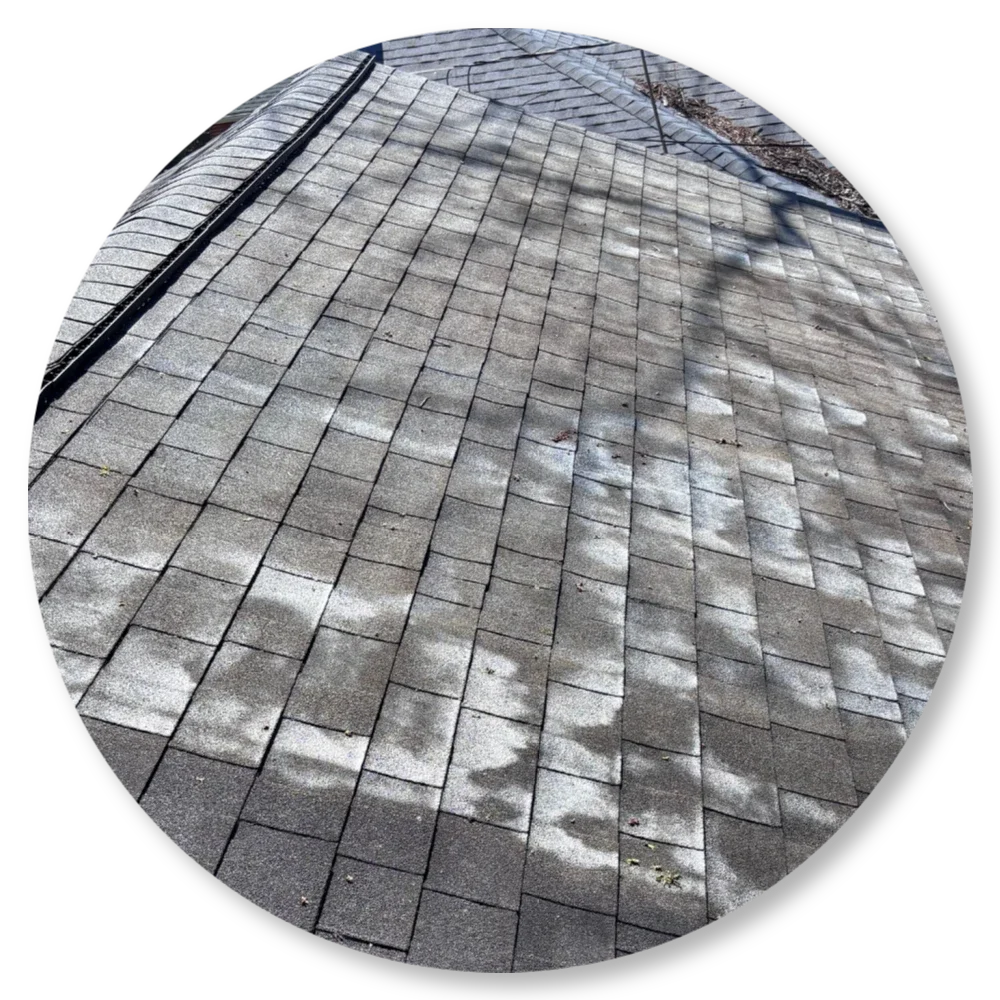 Roof Washing