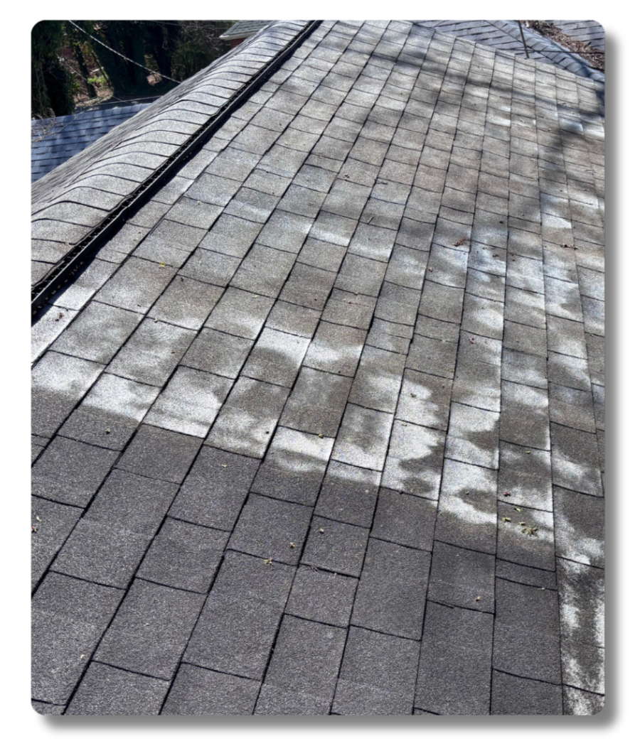 Hot Shot Pressure Washing soft wash roof cleaning before and after on asphalt shingle home in Roanoke Valley VA