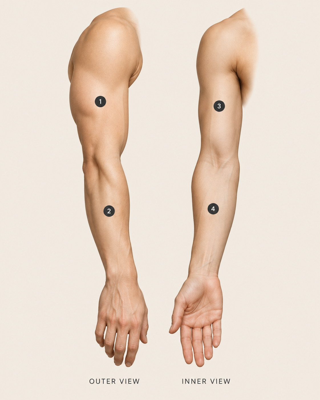 Arm sleeve planning: 1 outer upper arm, 2 outer forearm, 3 inner upper arm, 4 inner forearm.