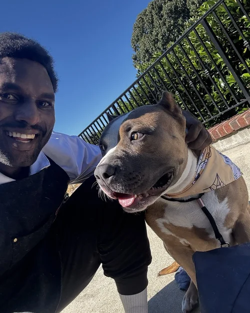 A smiling pit bull next to our Lead Groomer