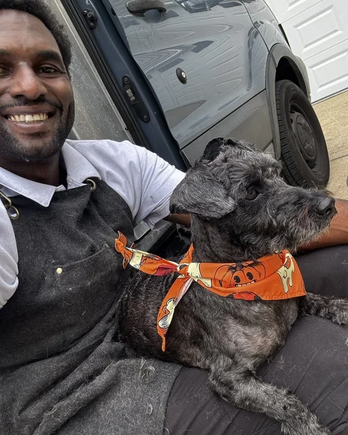 A gray schnauzer mix resting with our Lead Groomer by the van