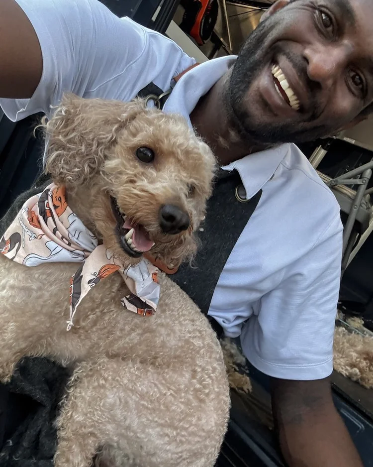 Our Lead Groomer with a freshly groomed doodle at the grooming van