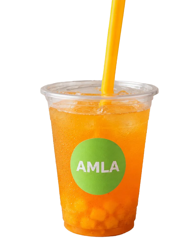 Refresher