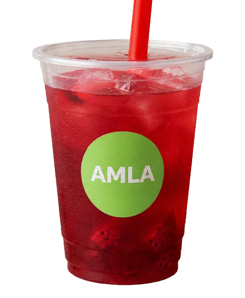 Refresher