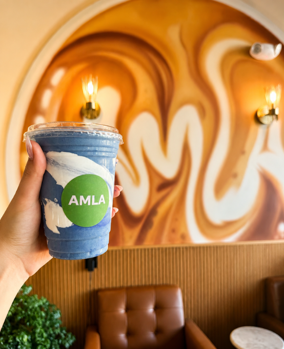 Amla Cafe Gallery Image 3