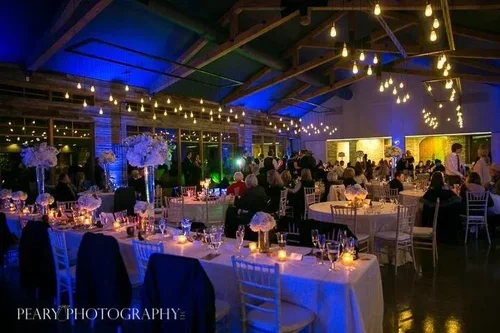 Austin uplighting