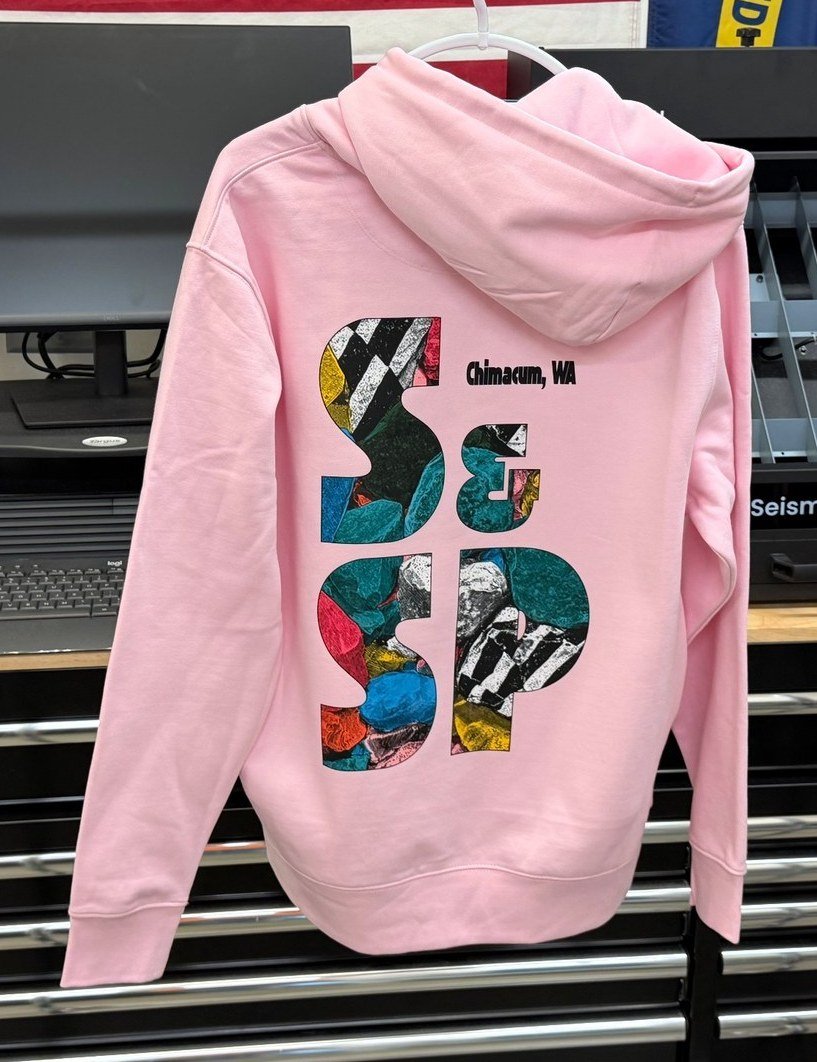 Pink hoodie, back print