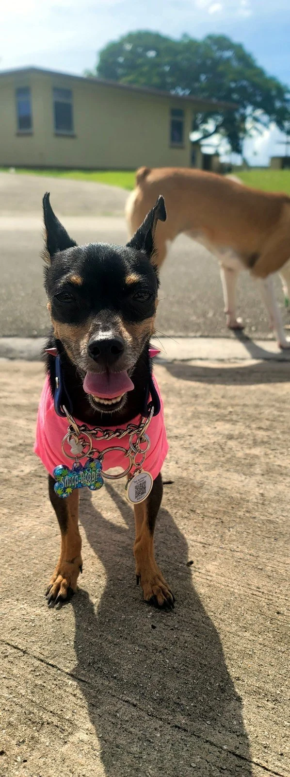 Snoop grinning in a pink shirt