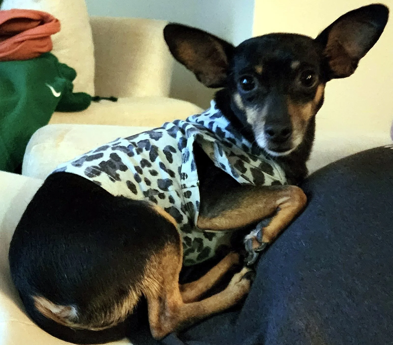 Snoop in a leopard-print top on the couch