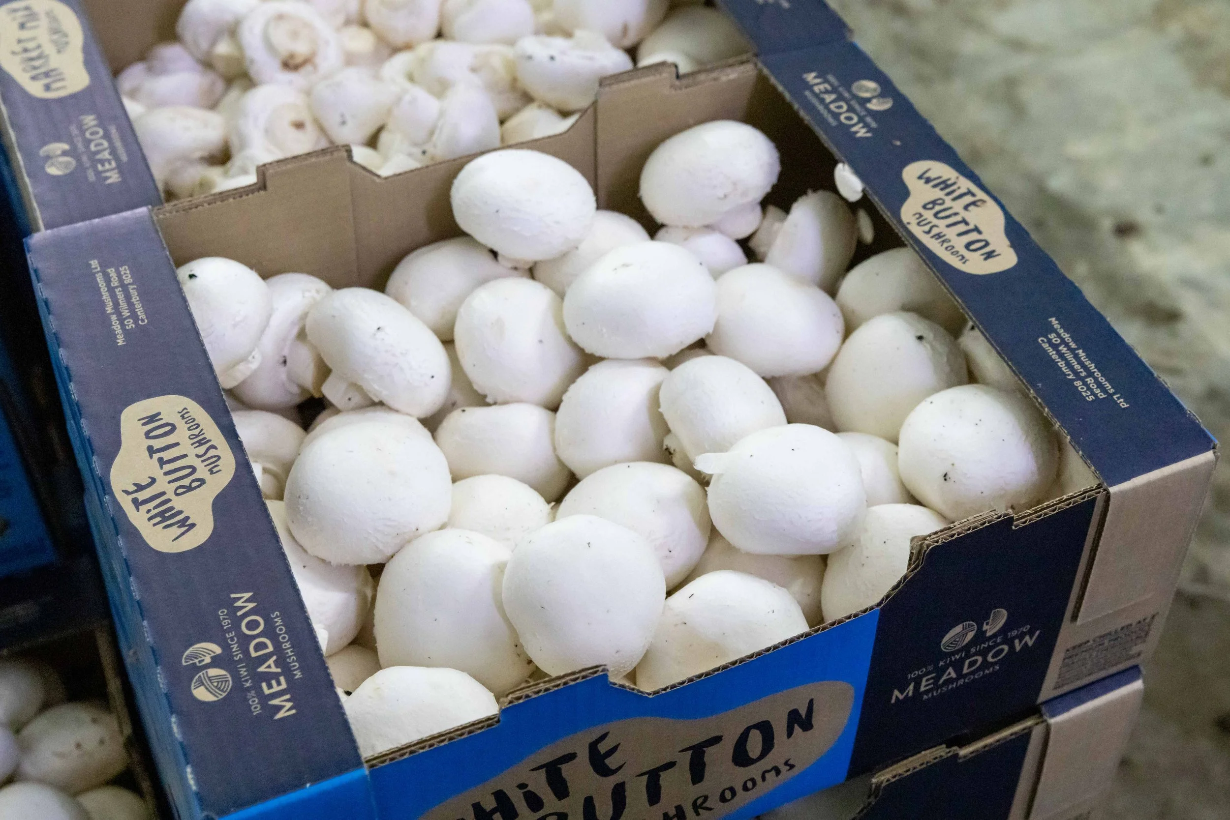 A year’s supply of Meadow Mushrooms