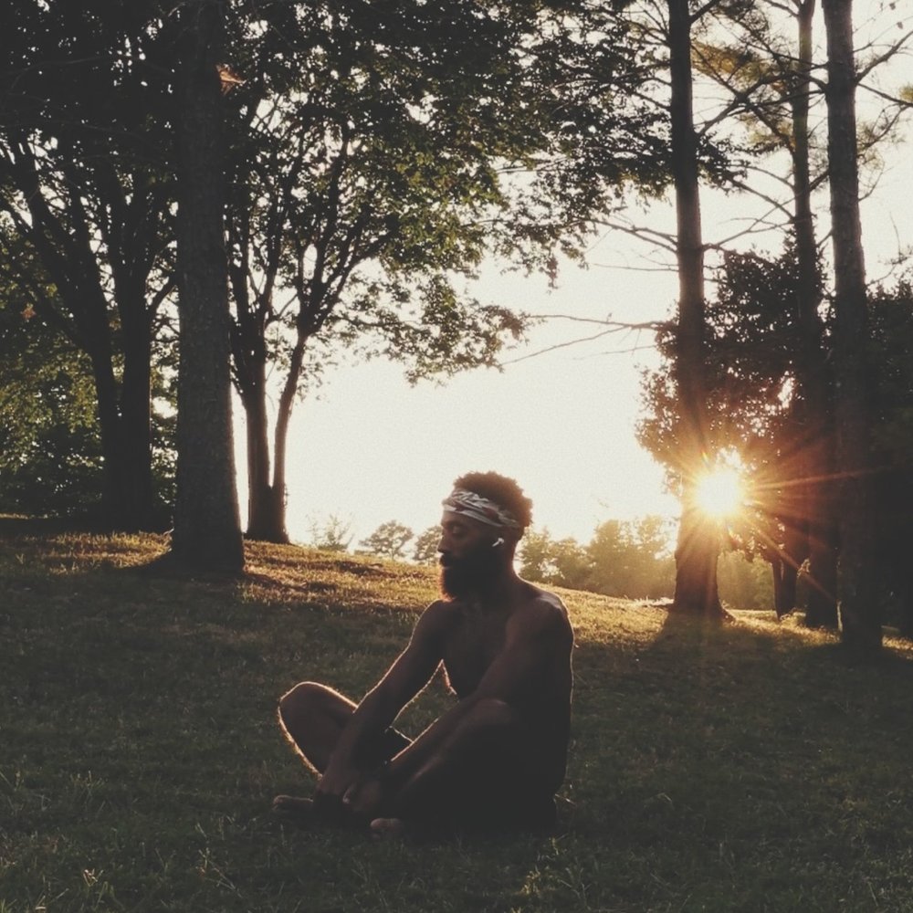 Rashad Houston seated among trees with sunlight shining behind him.