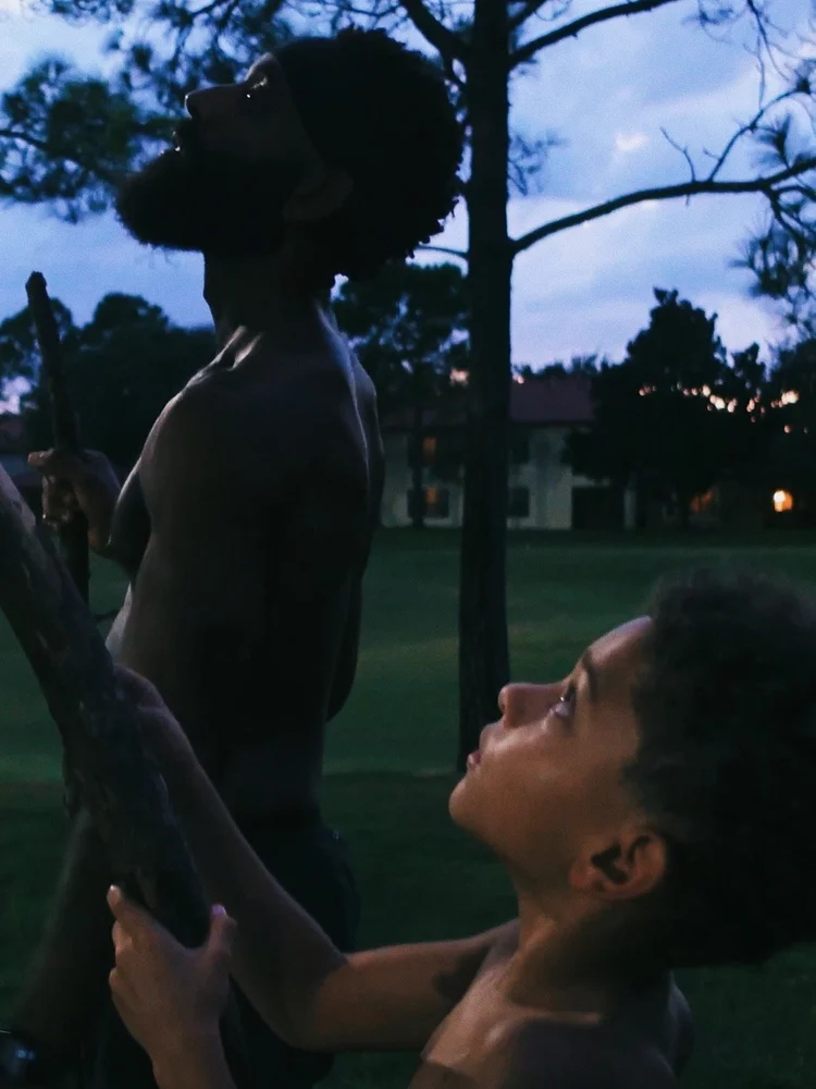 Father and son looking upward among trees at dusk