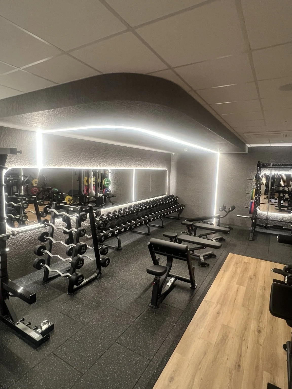 Free weights and strength training area at Allform Wellness
