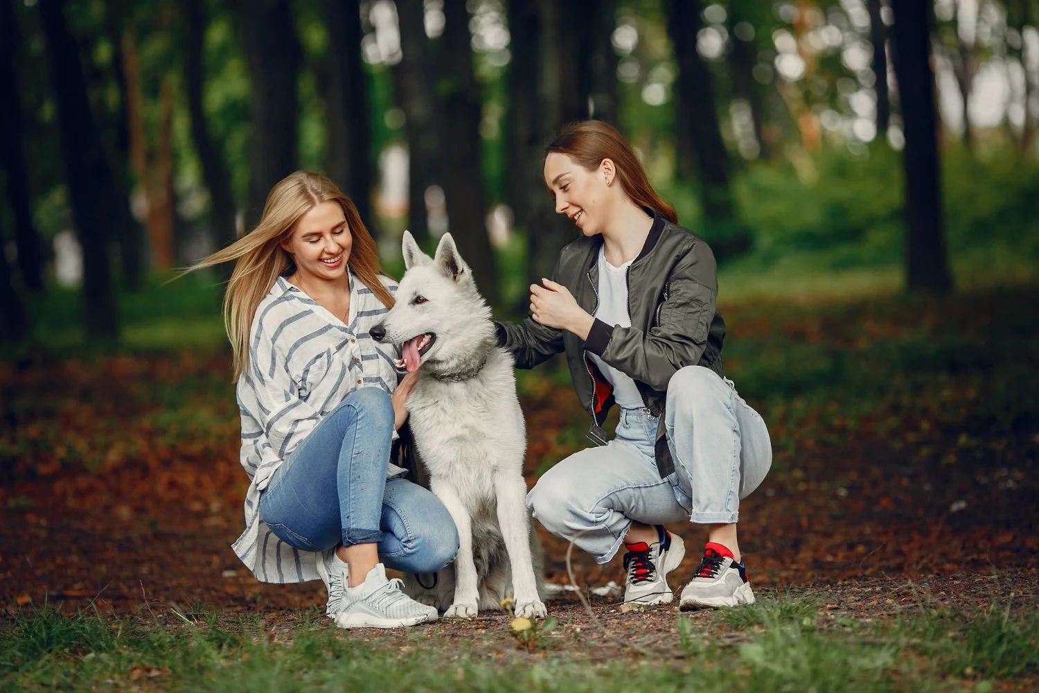 Connecting with dog co-parents