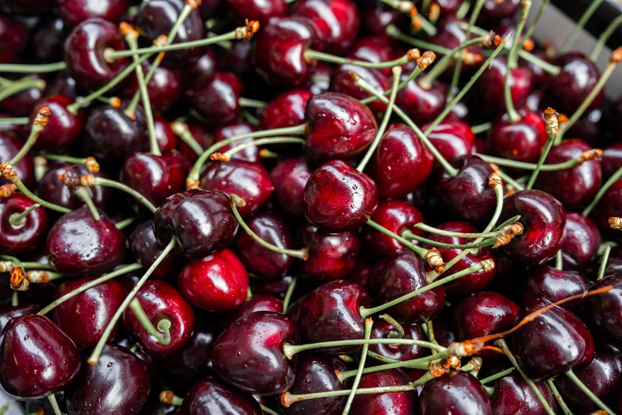 Top Fruit Biets