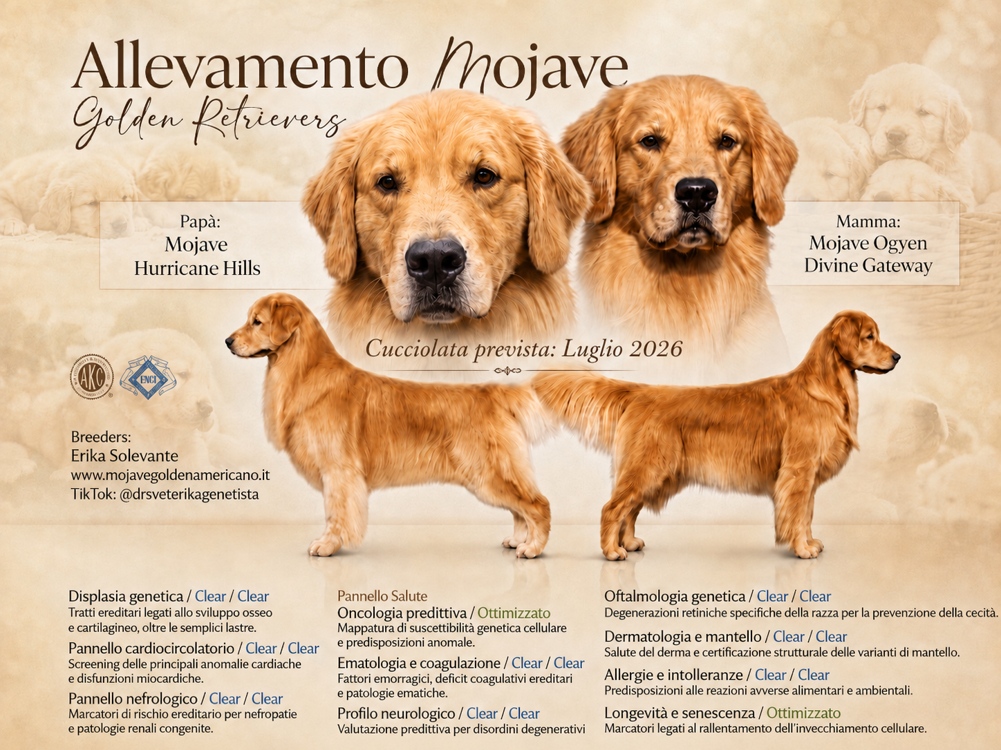 Golden Retriever cucciolo Mojave