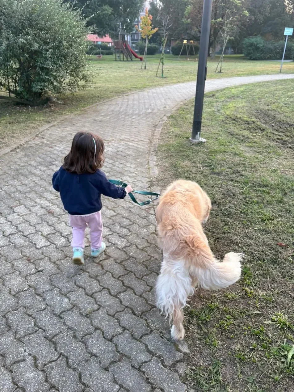 Bambina con Golden Retriever Mojave al parco — il legame che dura