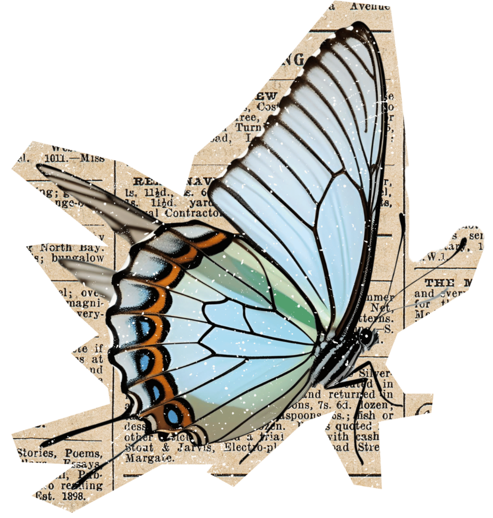 decorative butterfly