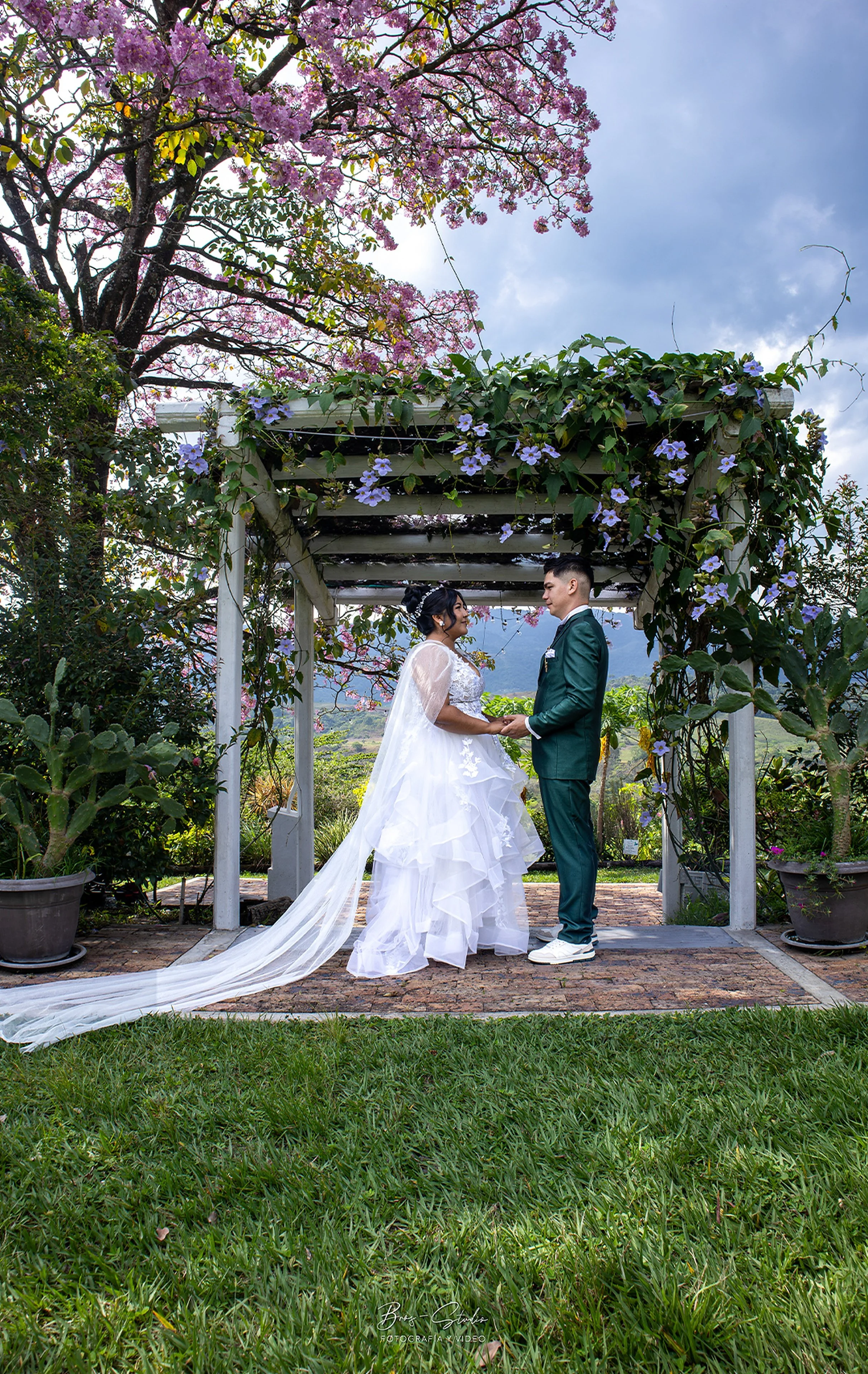 Wedding photography by Bros Studio MT — Under the Pergola