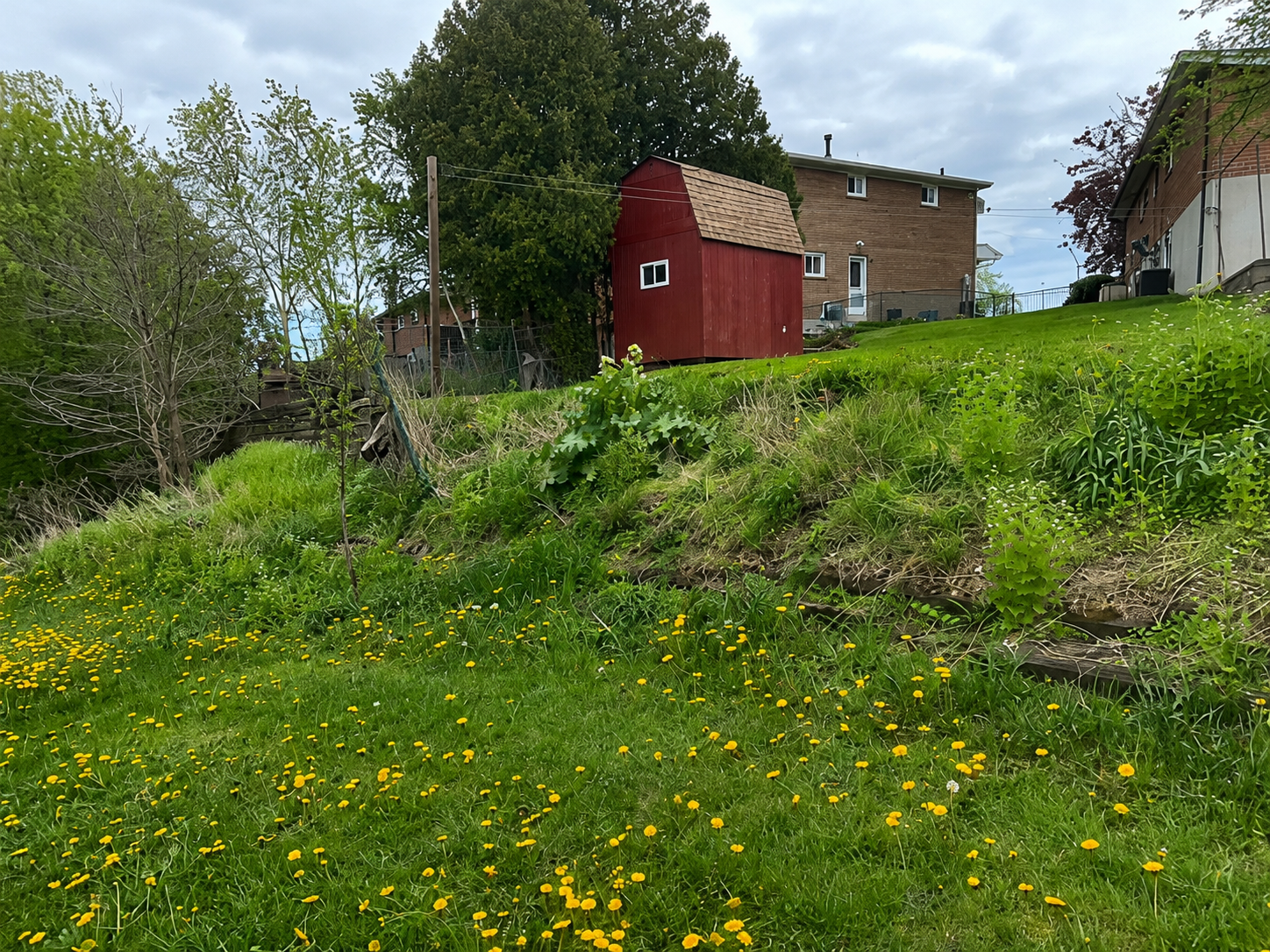 Armour Stone Retaining Wall before