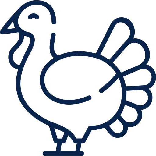 Turkey Icon
