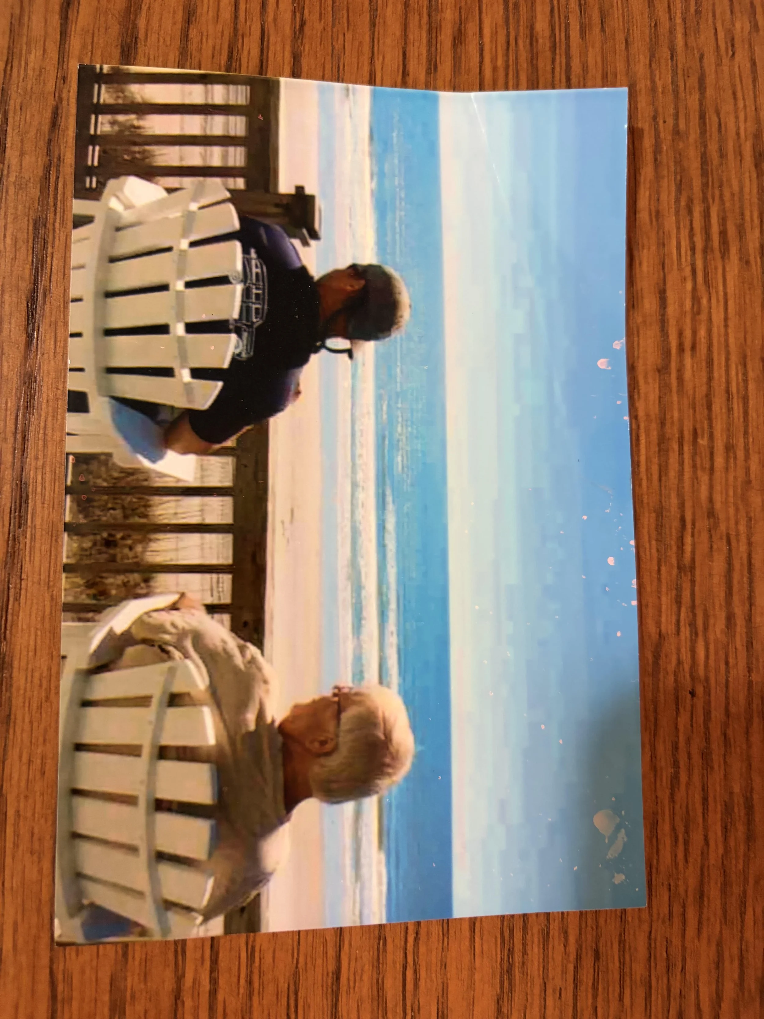 Illustrated, father and son at the beach, original