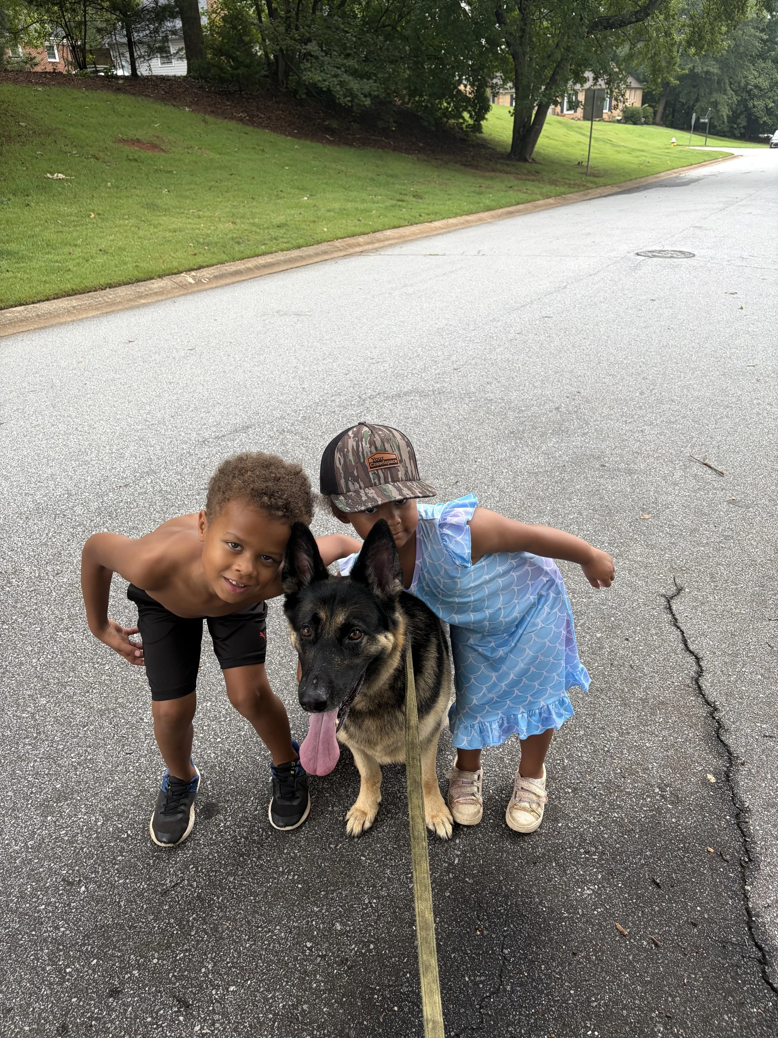 Pets, original