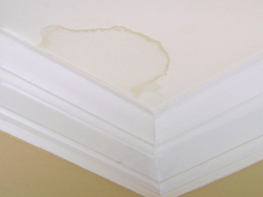 Roof Leaks