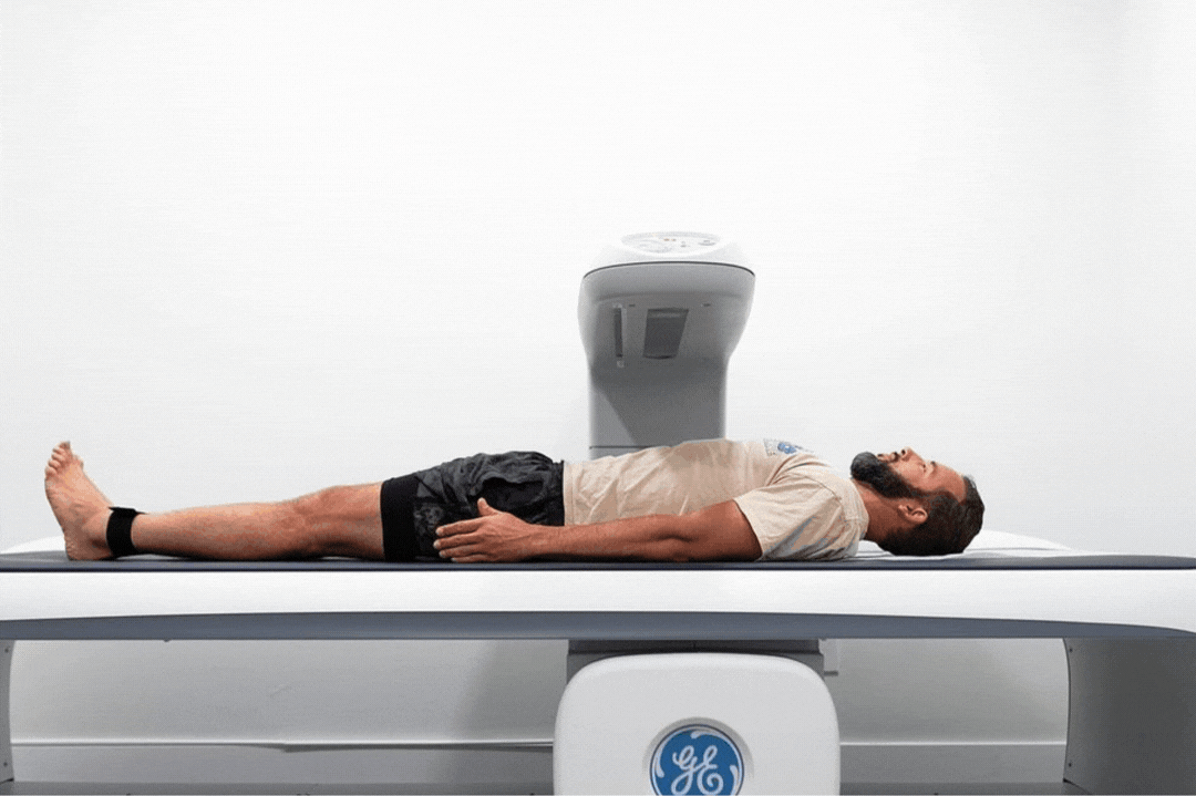 DEXA body composition scan in progress with live stats