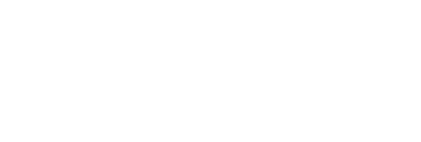 Yuval David