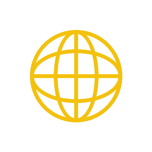 Global project experience globe icon