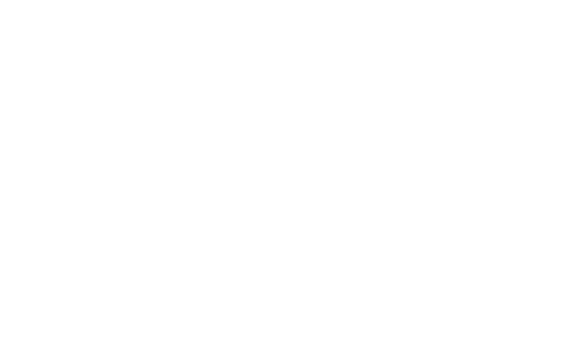 Ravensburger