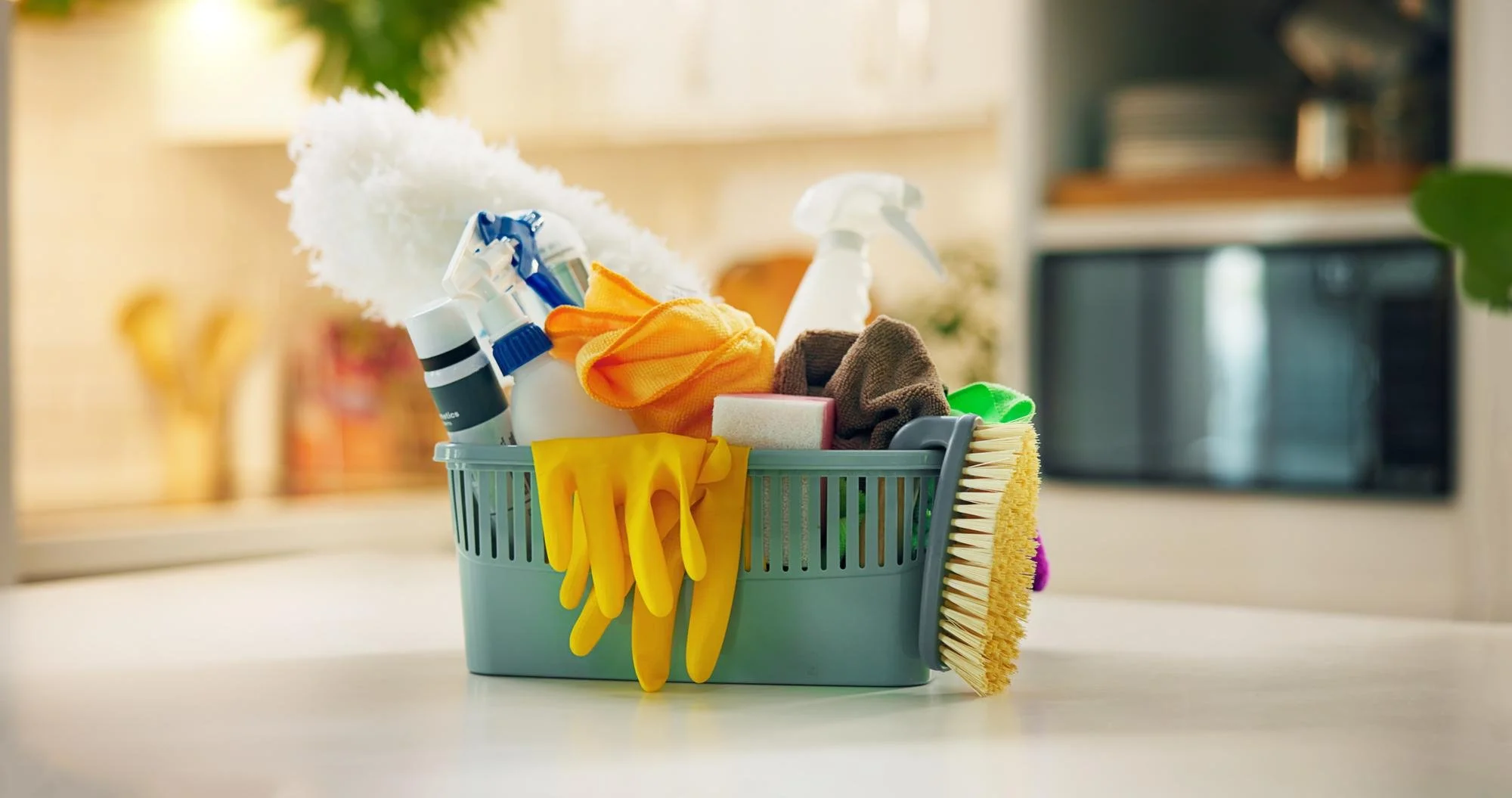 Recurring Cleaning Service