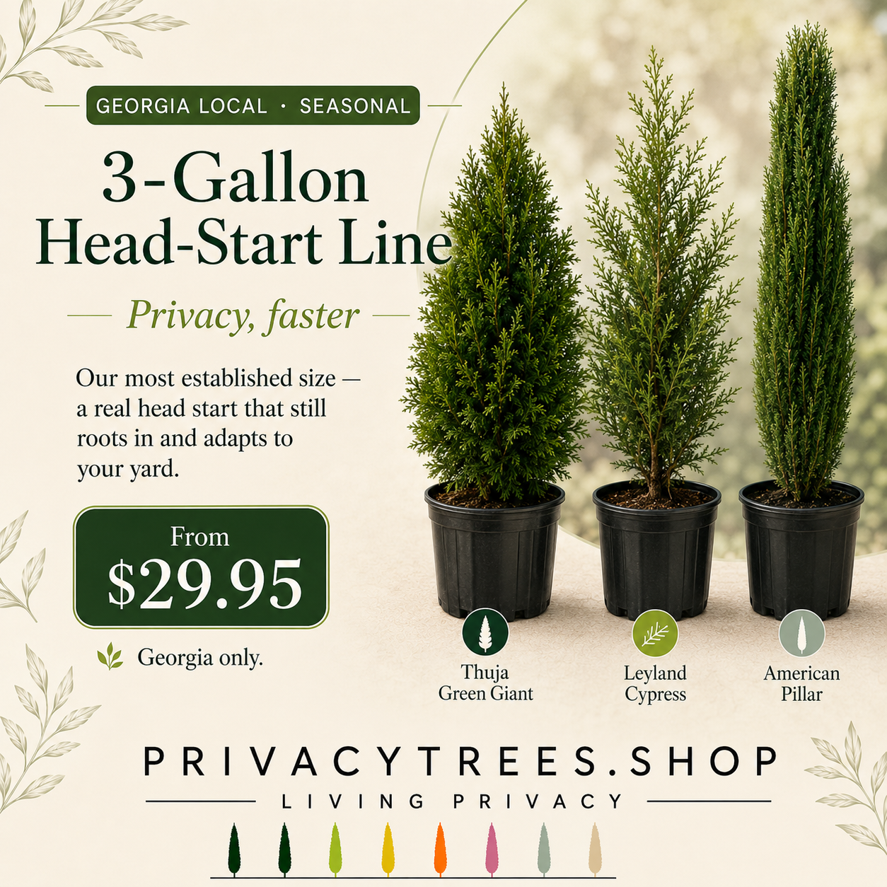 3-Gallon Head-Start Line