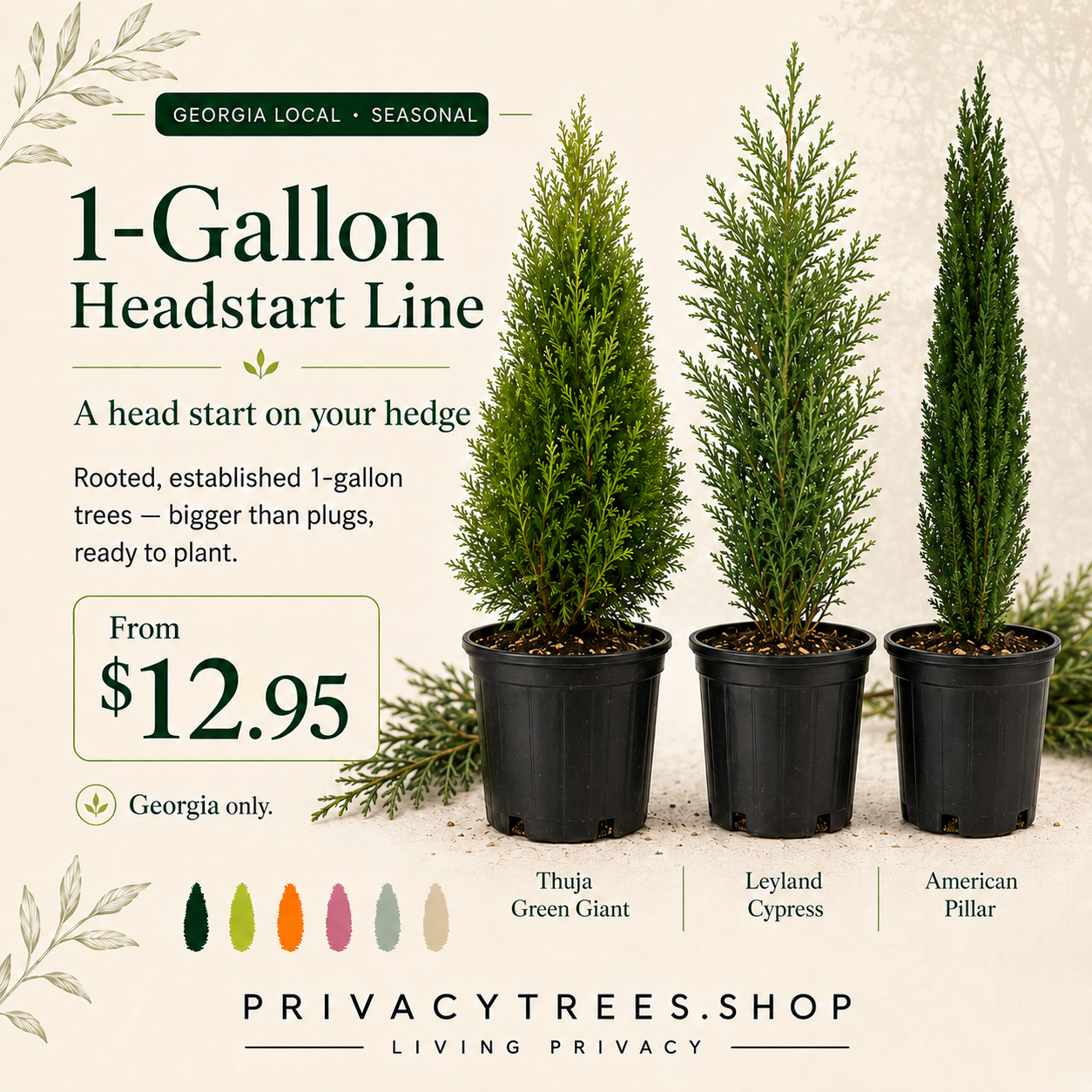 1-Gallon Head-Start Line