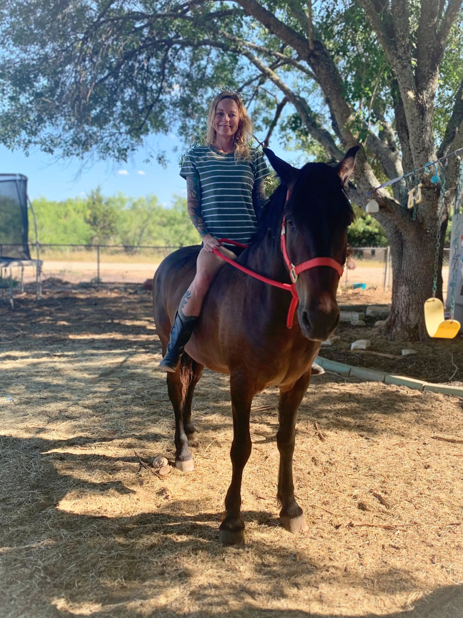 Cupid, rescue animal at the farm.