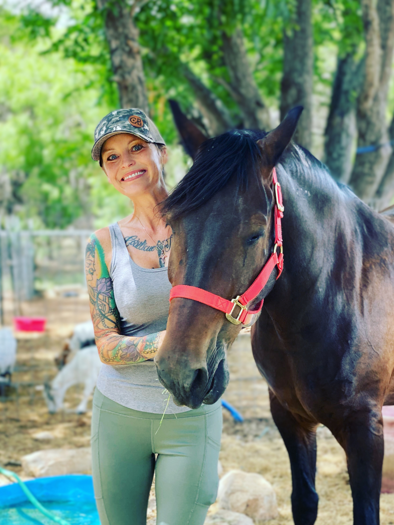 Cupid, rescue animal at the farm.