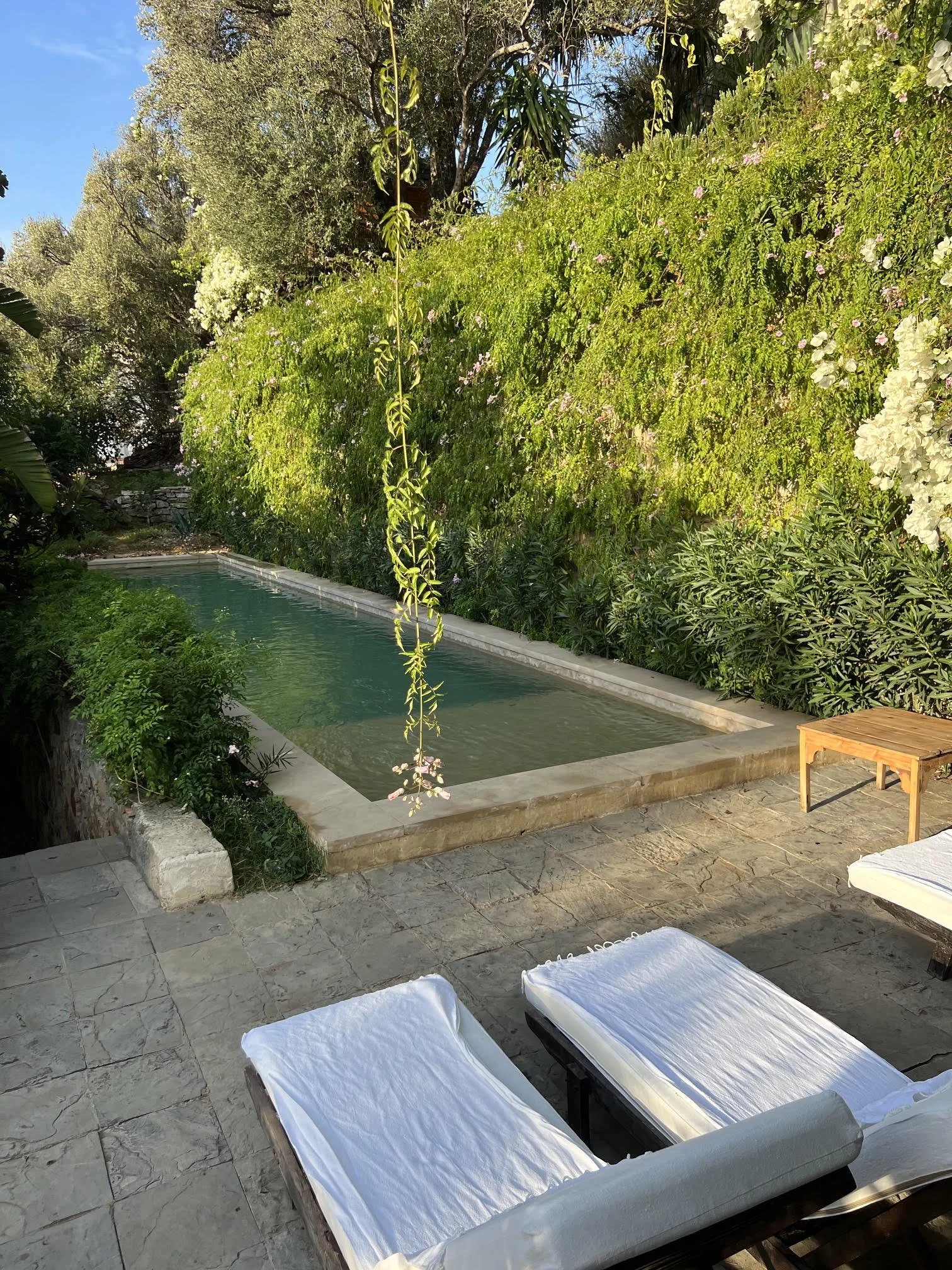 Private garden pool in Tangier
