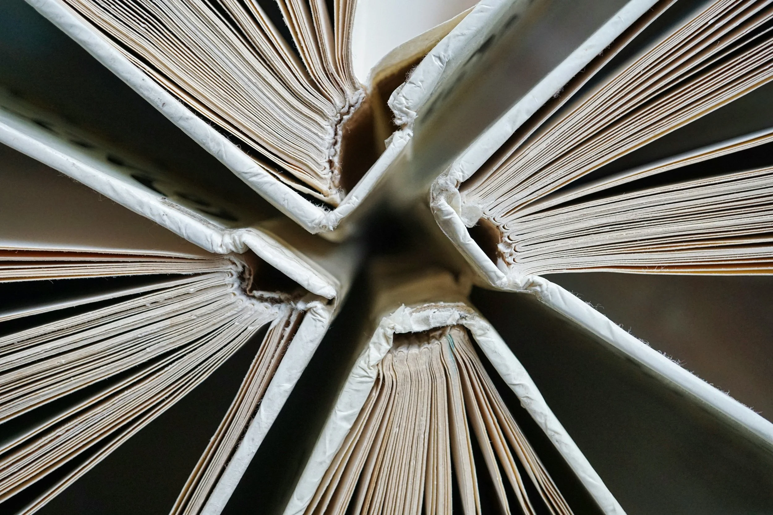 Close-up of book bindings