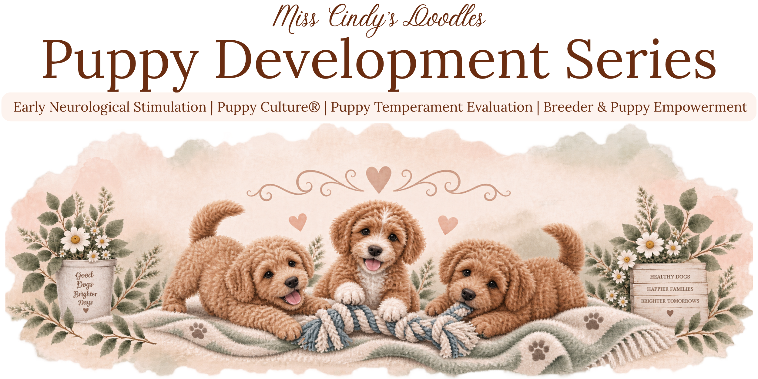 Puppy Development Series at Miss Cindy's Doodles