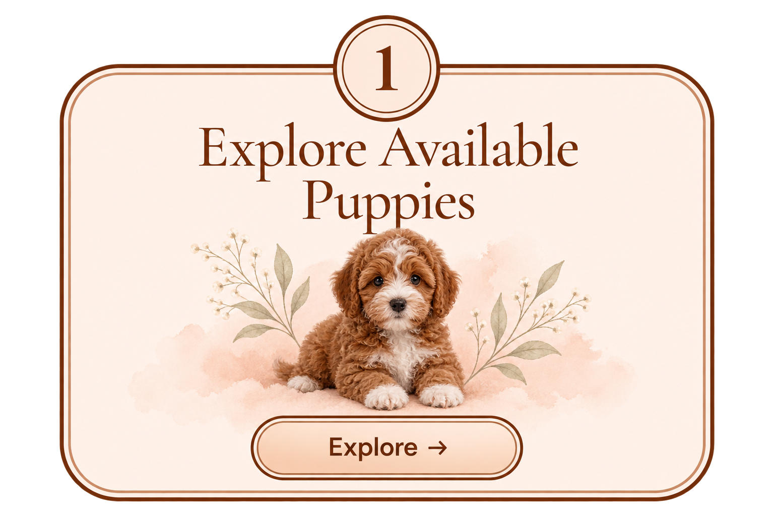 Step 1 — Explore Available Puppies