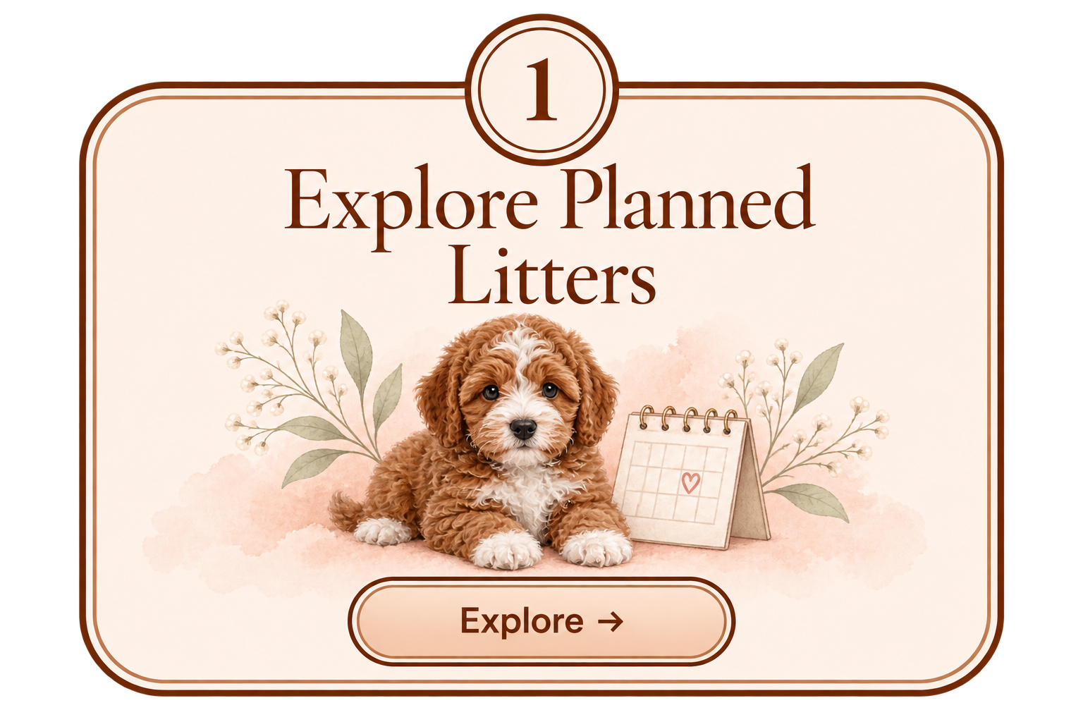 Step 1 — Explore Planned Litters