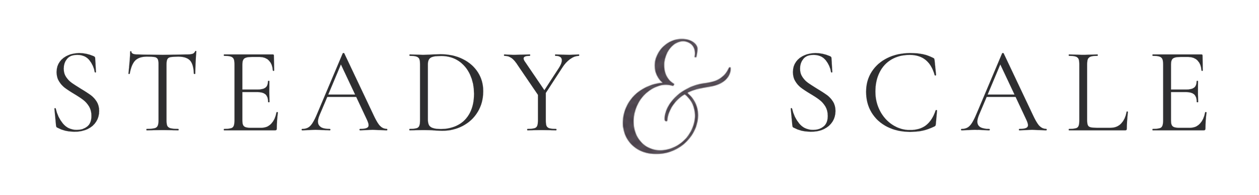Steady&Scale logo