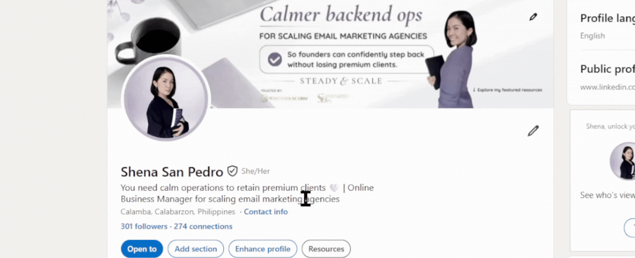 LinkedIn insight preview