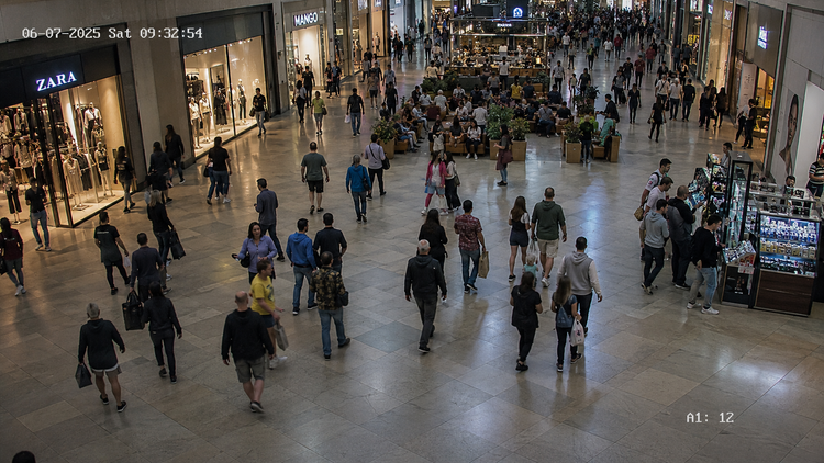 Retail CCTV