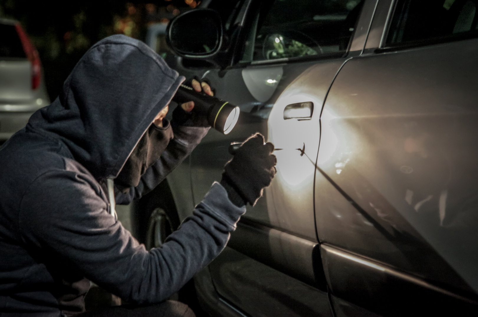 Vehicle Theft & Inventory Loss