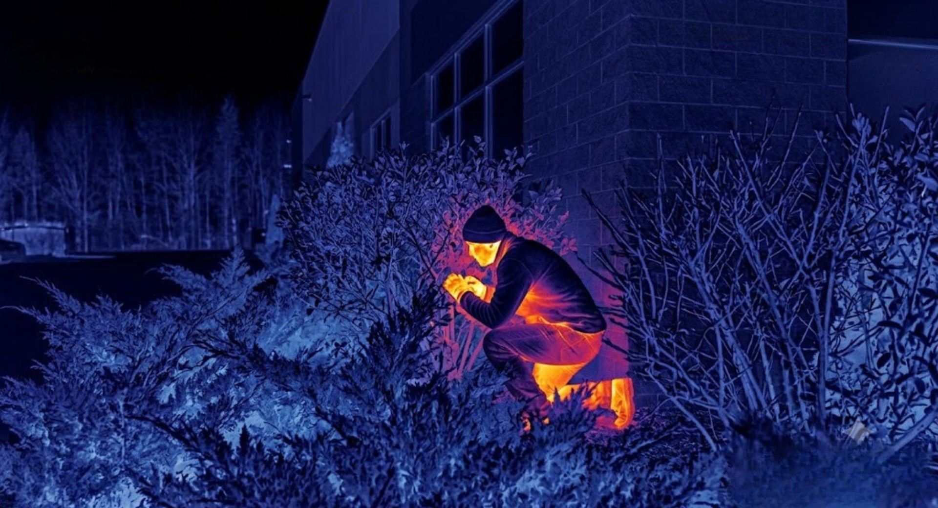 Concealment detection