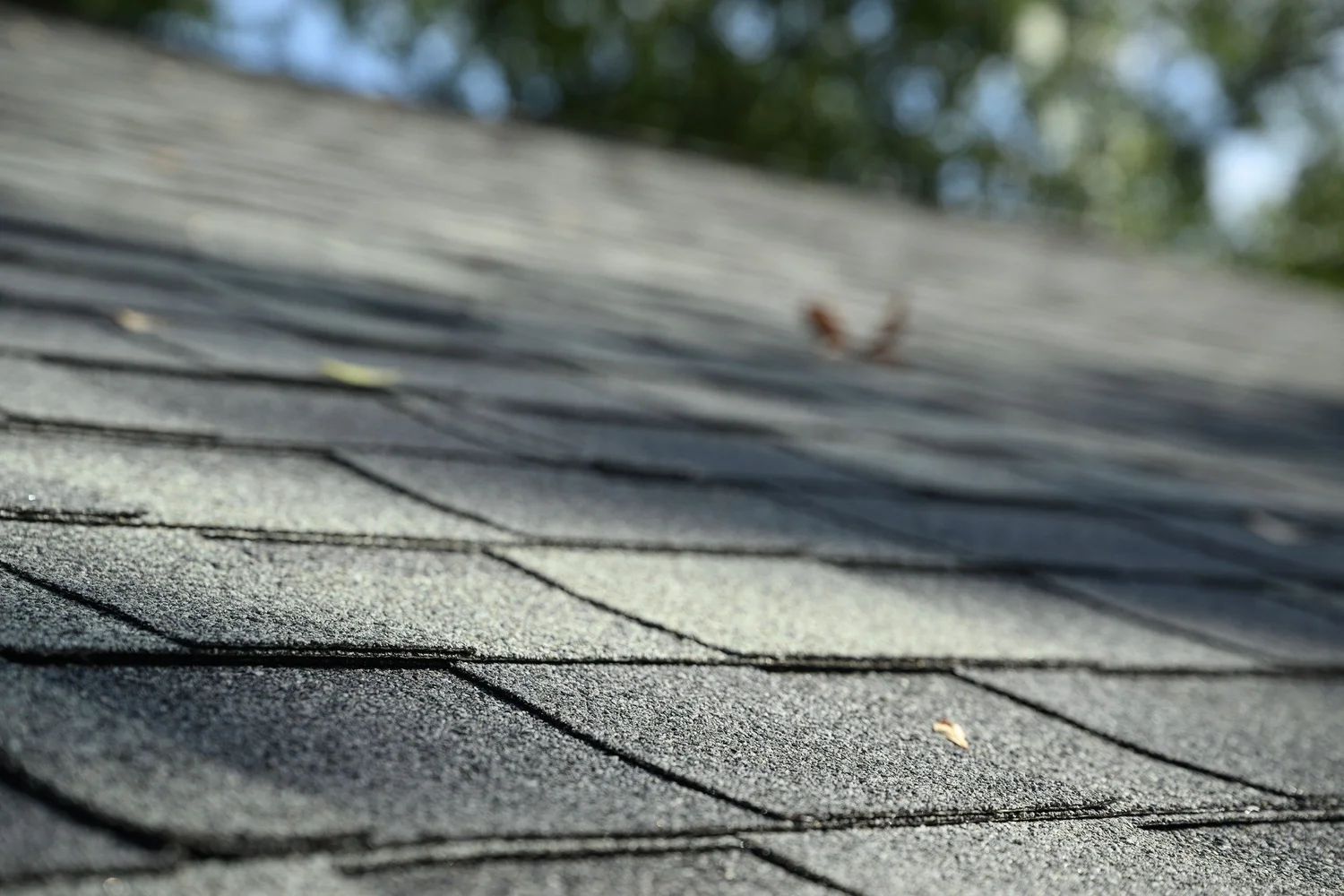 Close-up of weathered grey shingles on a roof slope with trees out of focus