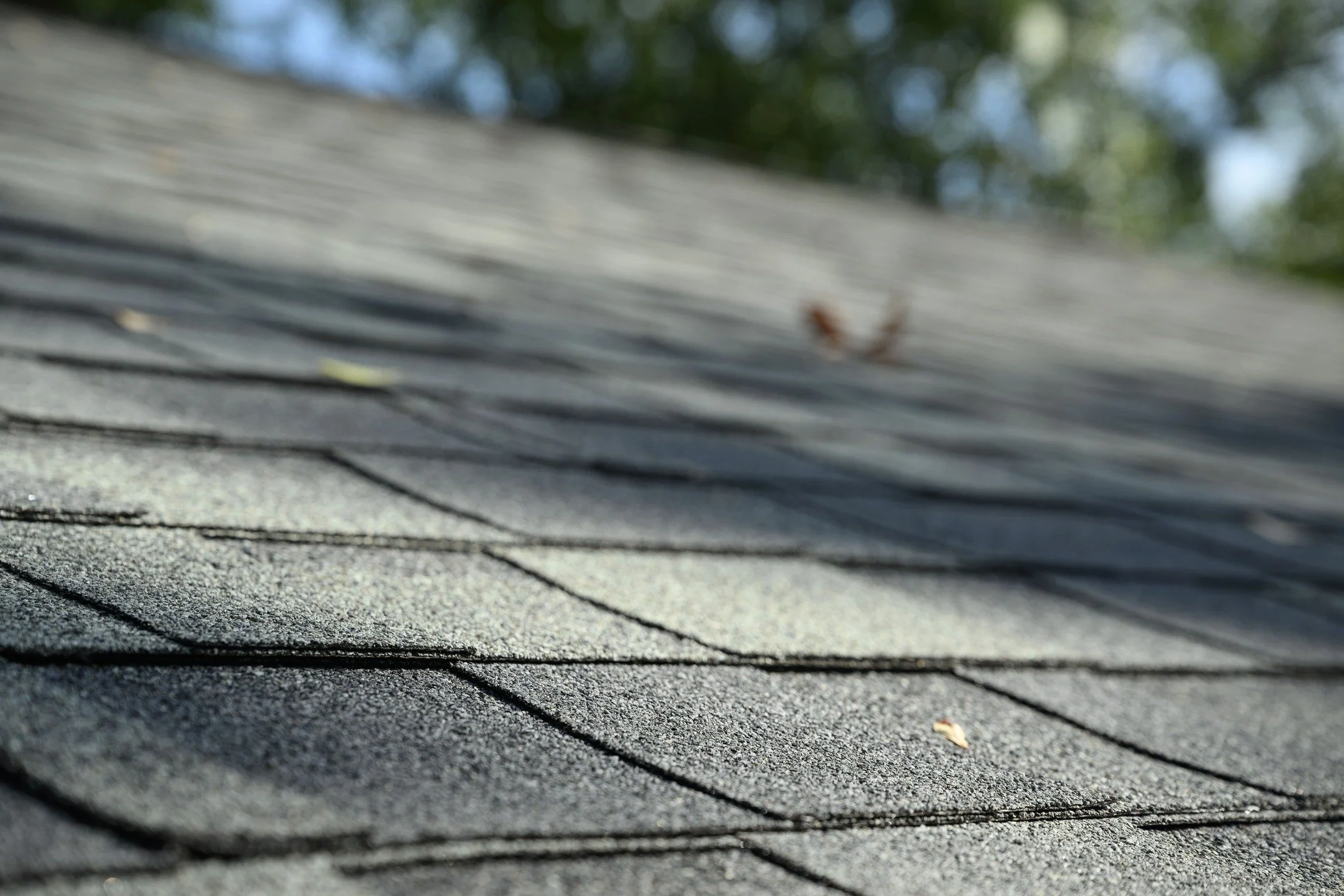 Close-up of weathered grey shingles on a roof slope with trees out of focus