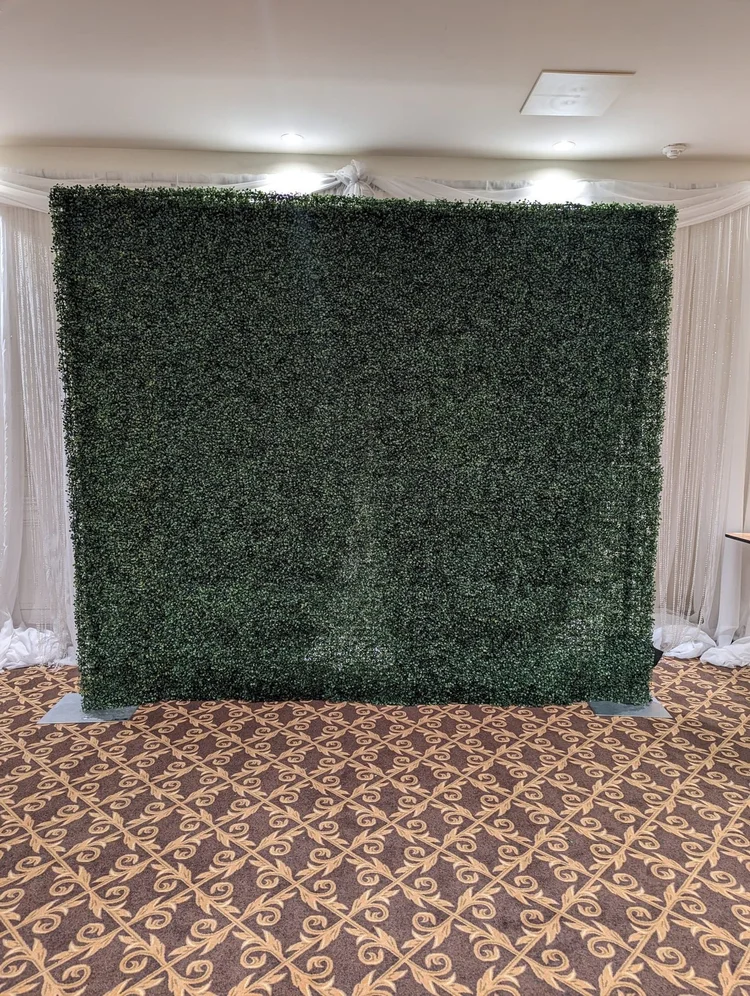 Green boxwood hedge backdrop